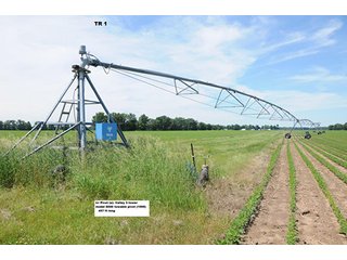 TRACT 1 - MICHIGAN LAND AUCTION, 475+/- ACRES OFFERED IN 4 TRACTS WITH 9 PIVOTS IN ST. JOSEPH COUNTY